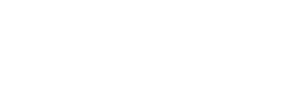 Partner 6