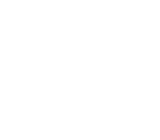 global IT services