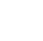 global IT services